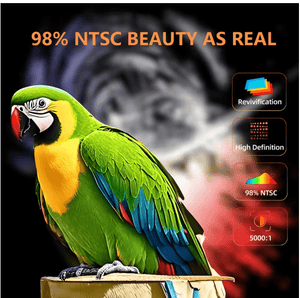 LED - Source Multimedia Projector ©