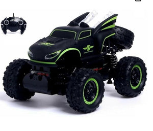 RC Monster Climbing Car ©